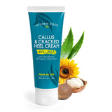 Shea Butter, Aloe Vera and Sunflower Seed Oil